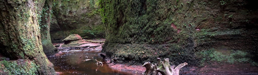 The Liars Pool